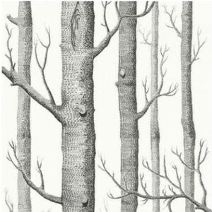 Cole & Sons Woods Wallpaper (1 roll, new in packaging)